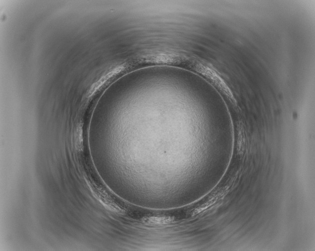 X0000087530251200705041245