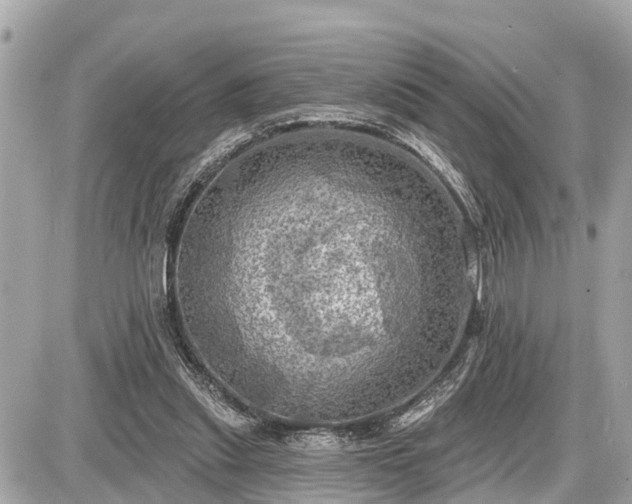 X0000087530253200705041245
