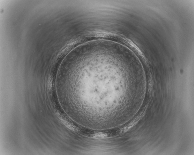 X0000087530257200705041245