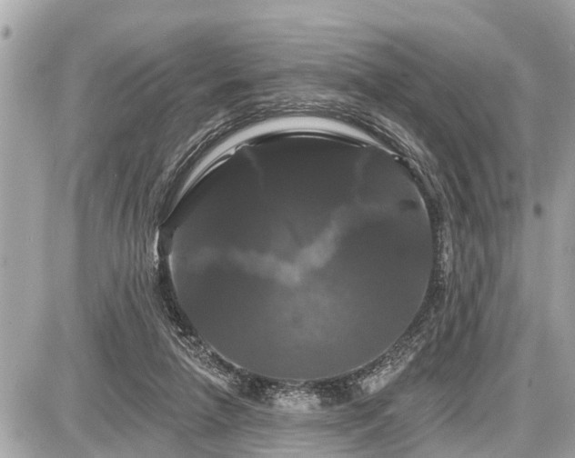 X0000087530258200705041245