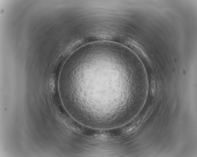 X0000087530259200705041245