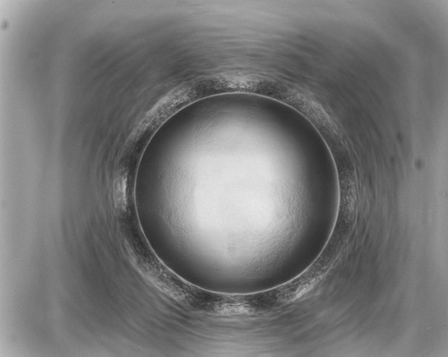 X0000087530262200705041245