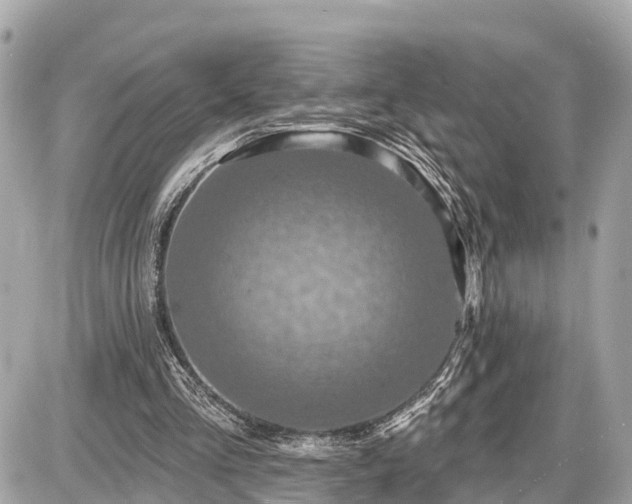 X0000087530293200705041244