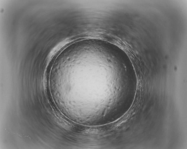 X0000087530294200705041244