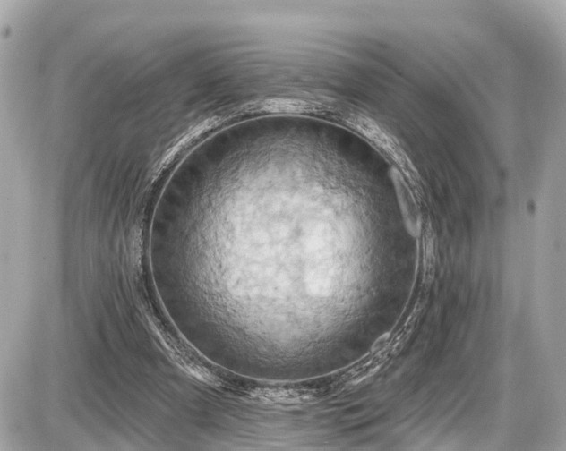 X0000087530297200705041244