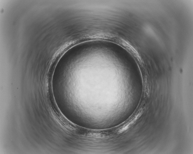 X0000087530298200705041244