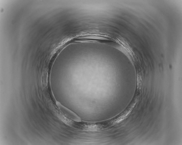 X0000087530301200705041244