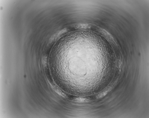 X0000087530326200705041244