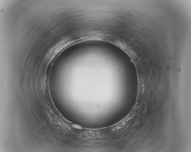 X0000087530338200705041243