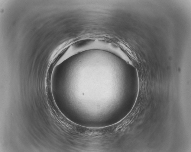 X0000087530340200705041243