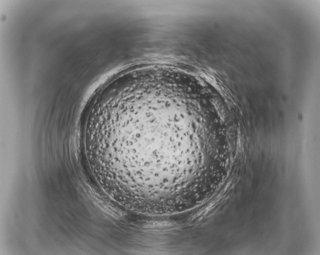 X0000087530342200705041243