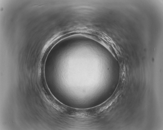 X0000087530344200705041243