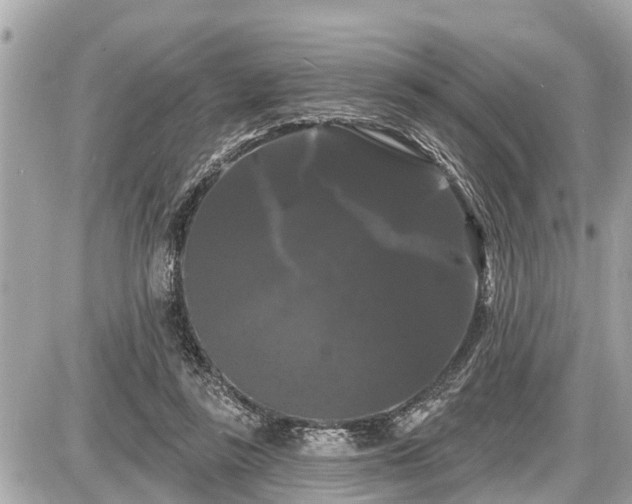 X0000087530355200705041243