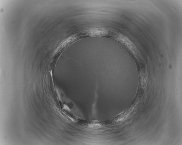 X0000087530357200705041243