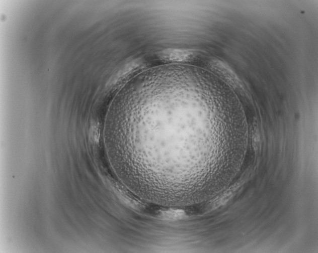 X0000087530374200705041244