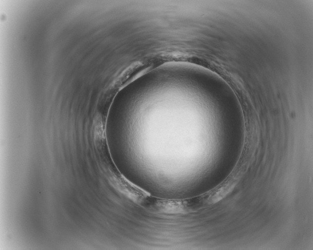 X0000087530384200705041244
