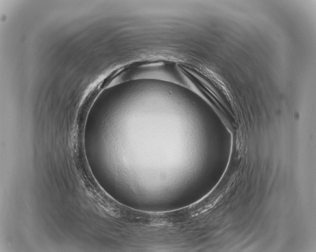 X0000087530388200705041243