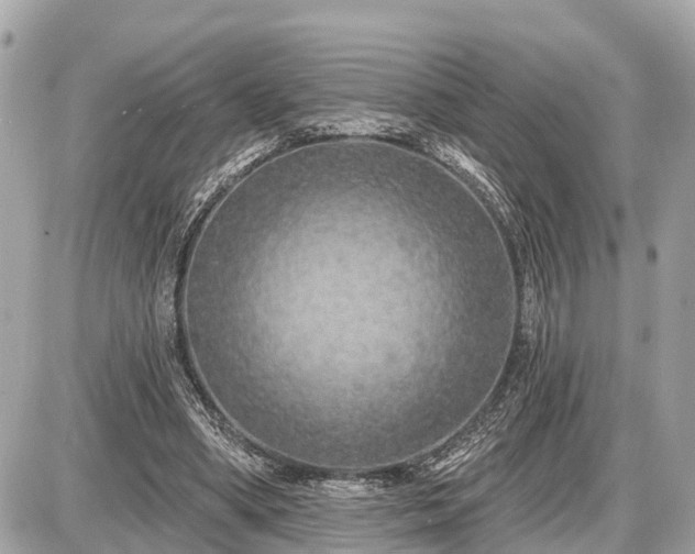 X0000087530394200705041243