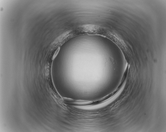 X0000087530413200705041242