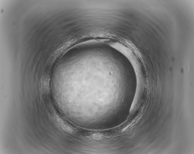 X0000087530441200705041242