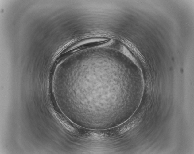 X0000087530442200705041242