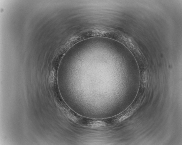 X0000087530463200705041242