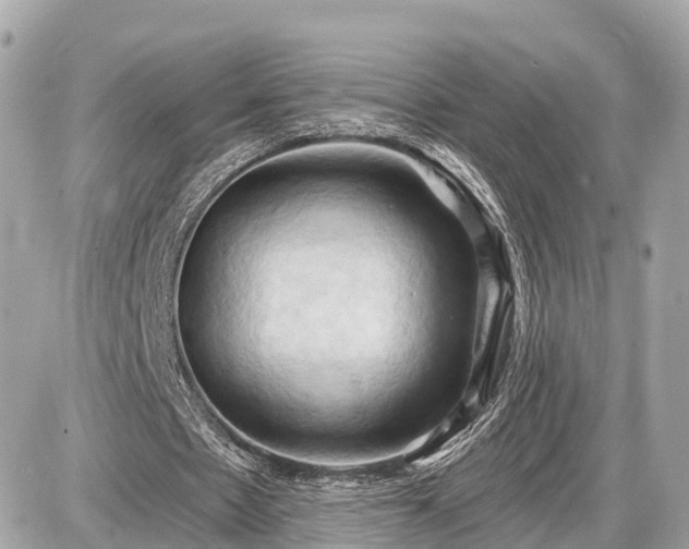 X0000087530481200705041241