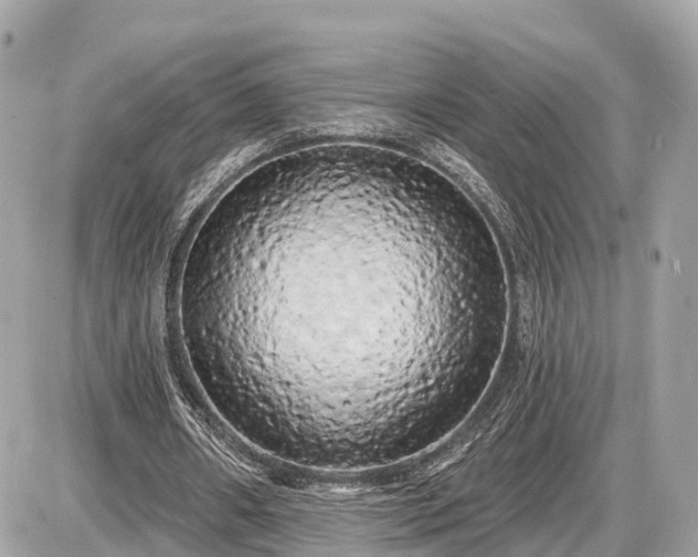 X0000087530482200705041241