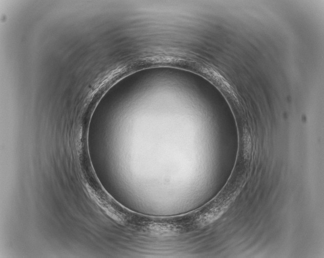X0000087530490200705041241