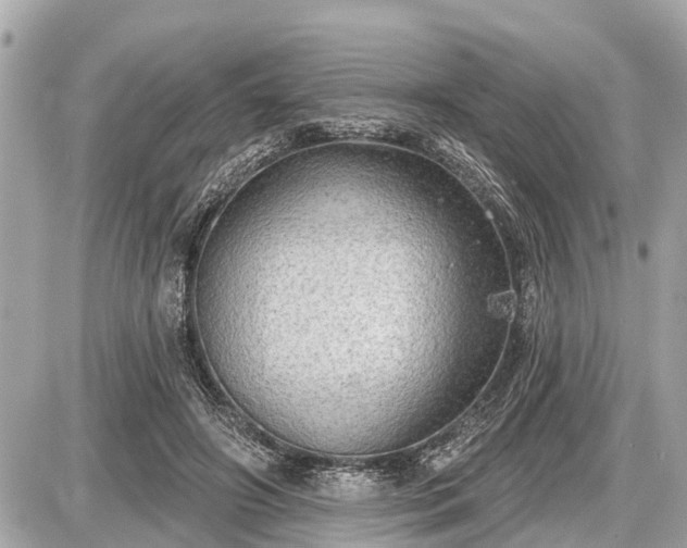X0000087530498200705041241