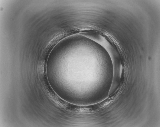 X0000087530501200705041241