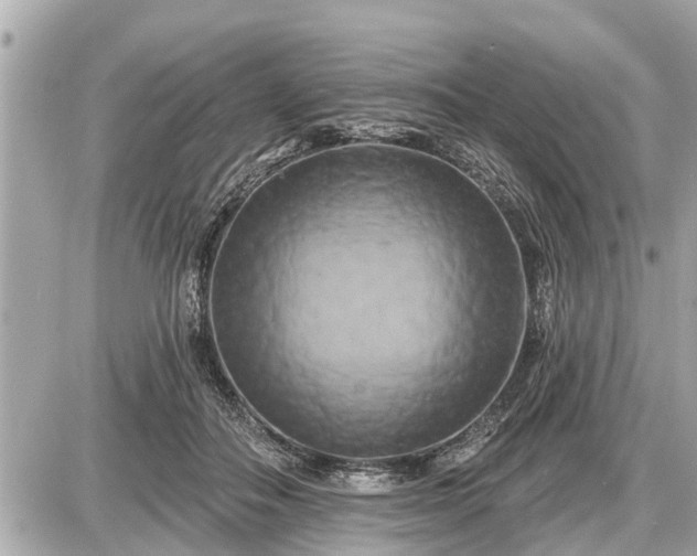 X0000087530506200705041241