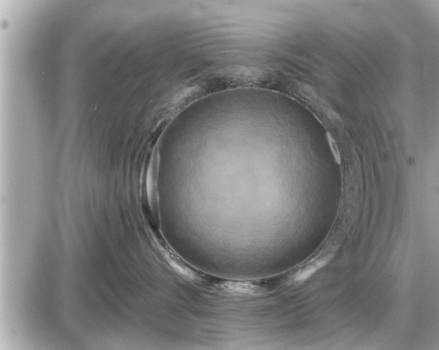 X0000087530528200705041241