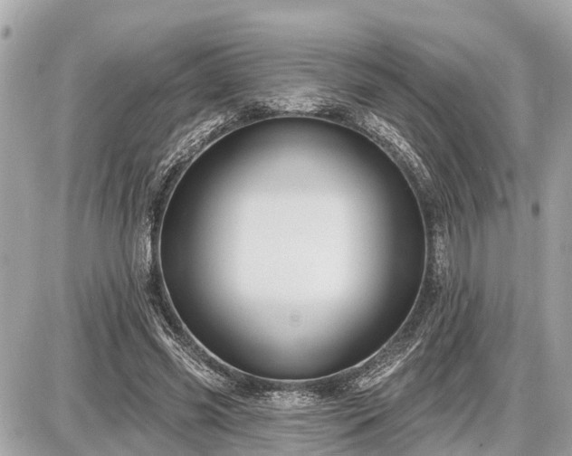 X0000087530541200705041240