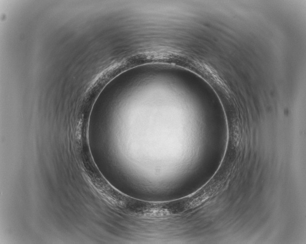 X0000087530543200705041240