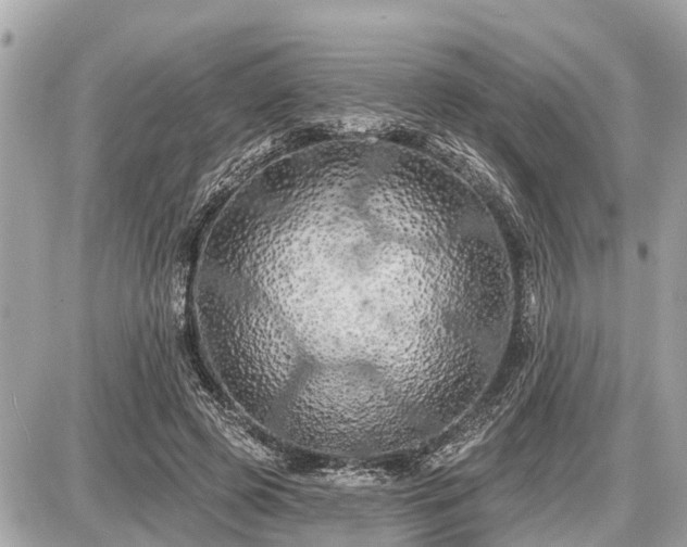 X0000087530545200705041240