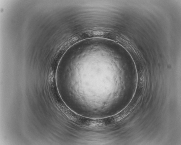 X0000087530555200705041240