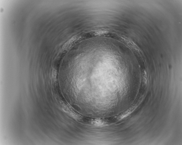 X0000087530565200705041240