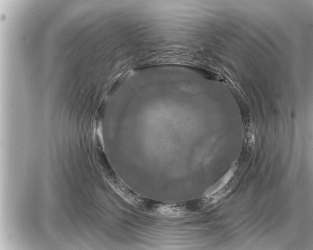 X0000087530568200705041240