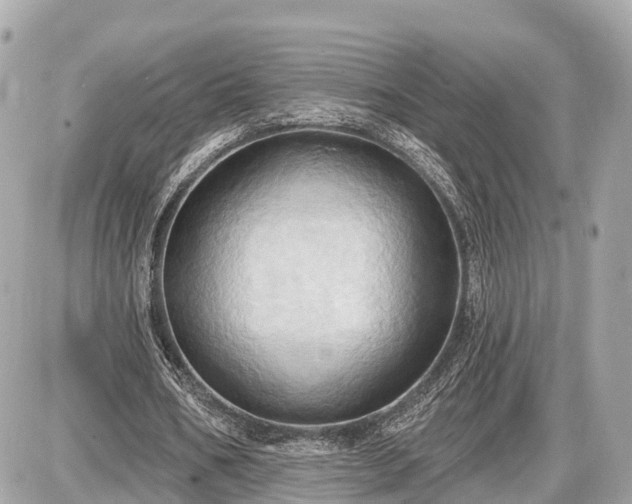 X0000087530578200705041240