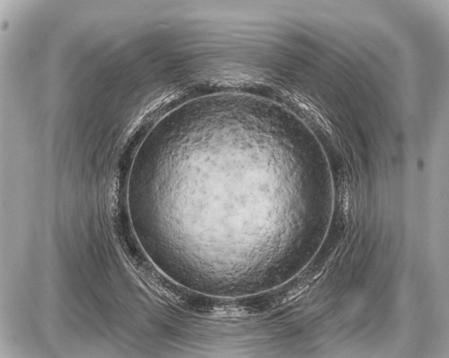X0000087530591200705041240