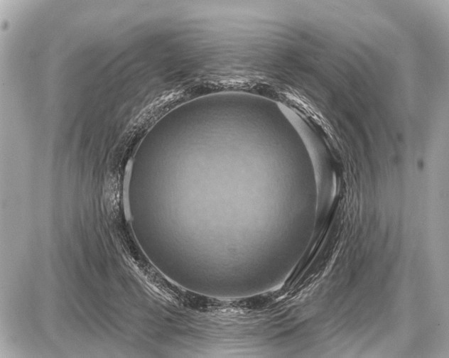X0000087530593200705041240