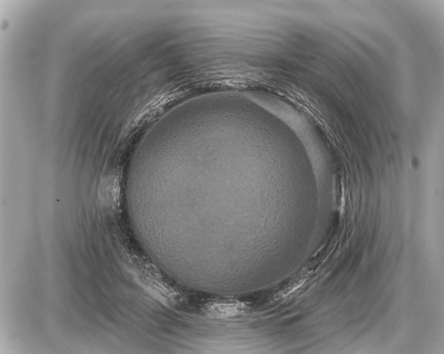 X0000087530595200705041240