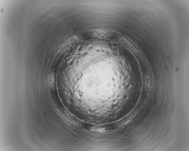 X0000087530602200705041239