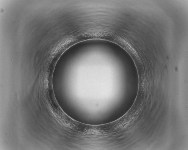 X0000087530635200705041238