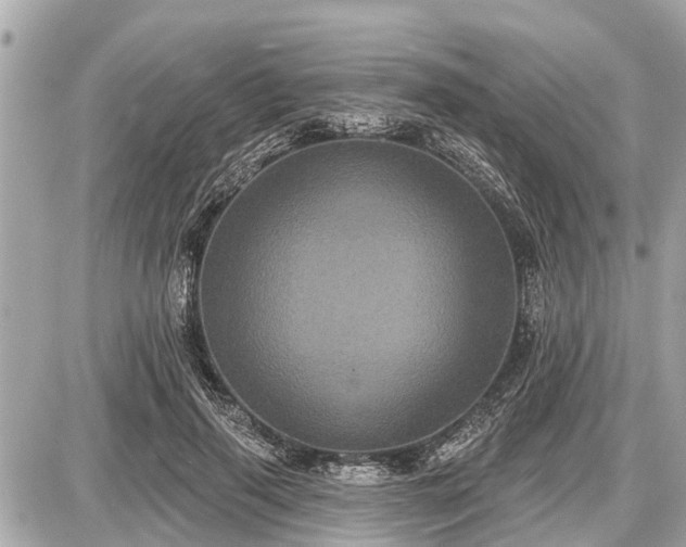 X0000087530645200705041239