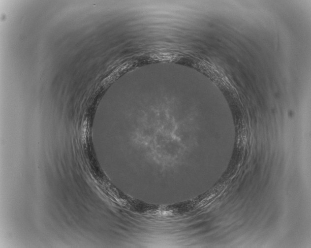 X0000087530647200705041239