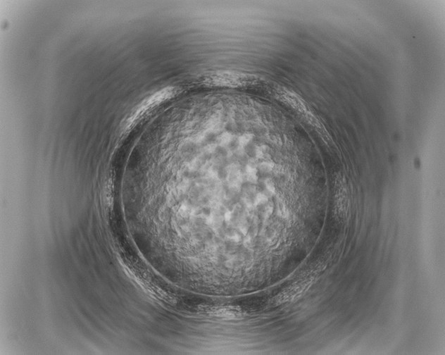 X0000087530683200705041238