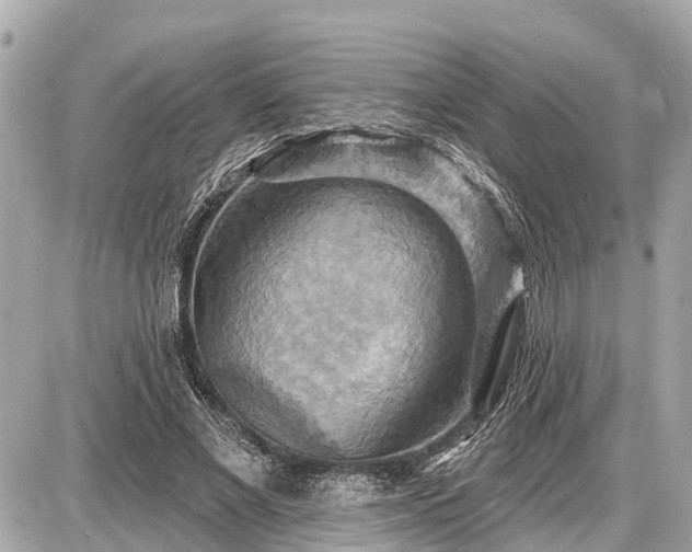 X0000087530685200705041238
