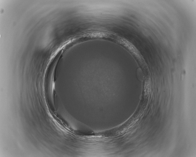 X0000087530722200705041237